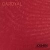 Vải Dán Tường Màu Đỏ Tía C10-05 Vải Dán Tường Màu Đỏ Tía C10-05